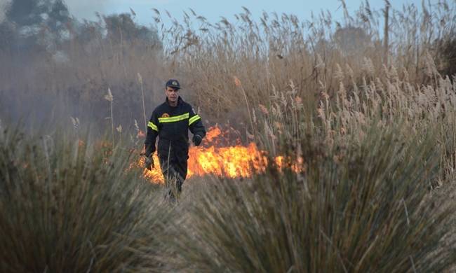 Υπό έλεγχο η φωτιά στον Ακροπόταμο Θεσσαλονίκης