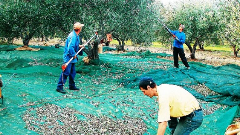 Εκδήλωση για τον αγροδιατροφικό τομέα