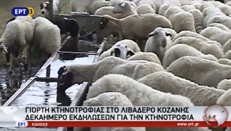 Κοζάνη: Γιορτή κτηνοτρόφων στο Λιβαδερό