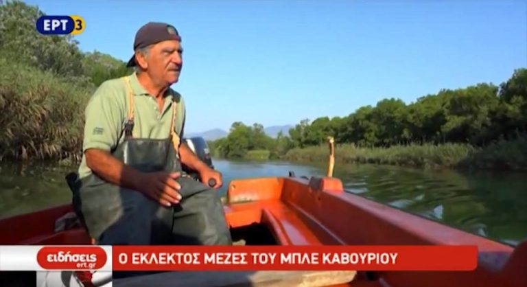 Ο εκλεκτός μεζές του μπλε καβουριού (video)