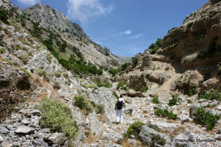Ασφαλής η τραυματίας από το φαράγγι Ασφένδου