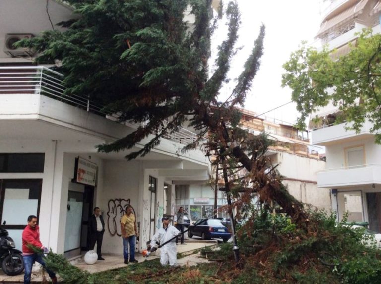 Λάρισα: Έπεσαν δέντρα, μικρές ζημιές σε ΙΧ