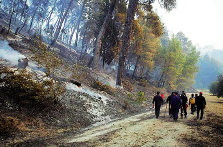 Πύργος: Ο φόβος φυλάει τα… έρημα