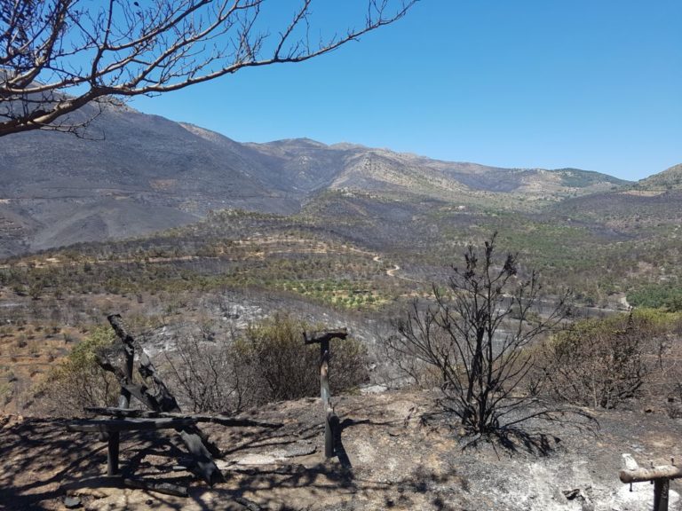 Νέο μέτωπο πυρκαγιάς στη Νύμφη Ανατολικής Μάνης