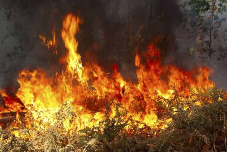 Πυρκαγιά στο Γλυκορρίζι Μεσσηνίας