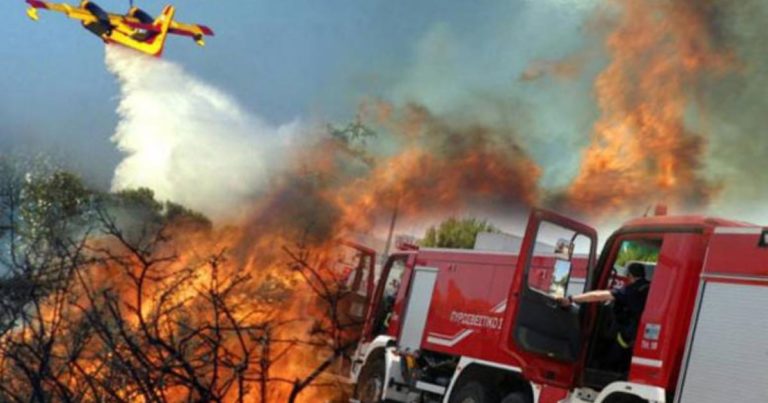 Μαγνησία: Λήψη μέτρων λόγω υψηλού κινδύνου πυρκαγιάς