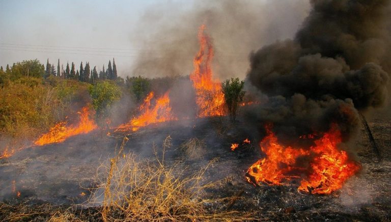 Στα μέτωπα των πυρκαγιών της Περιφέρειας Πελοποννήσου