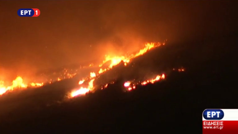 Ο Δήμος Ζακύνθου για πληγέντες αγρότες από πυρκαγιά