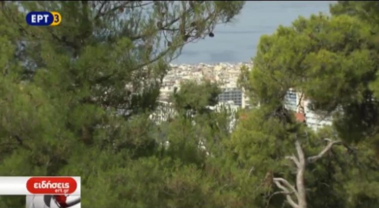 Σε ετοιμότητα η Πυροσβεστική (video)