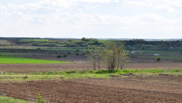 Απαγορεύει την καύση φυτικών υπολειμμάτων καλλιεργειών η Περιφέρεια Θεσσαλίας