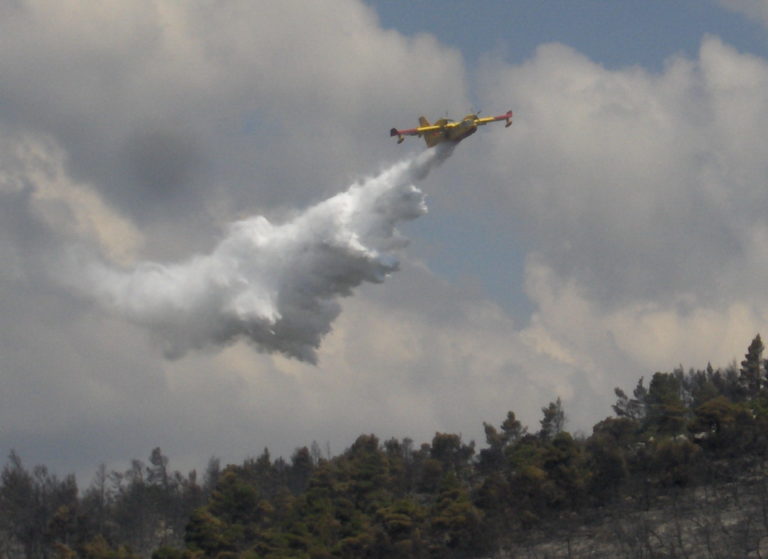 Τριάντα στρέμματα με πουρνάρια έκαψε πυρκαγιά στην Ανάβρα