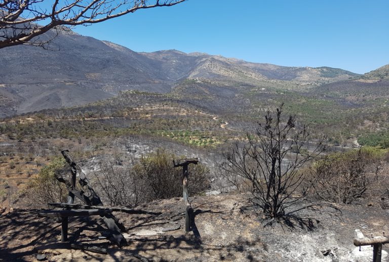Φωτογραφίες από την πυρκαγιά της Ανατολικής Μάνης