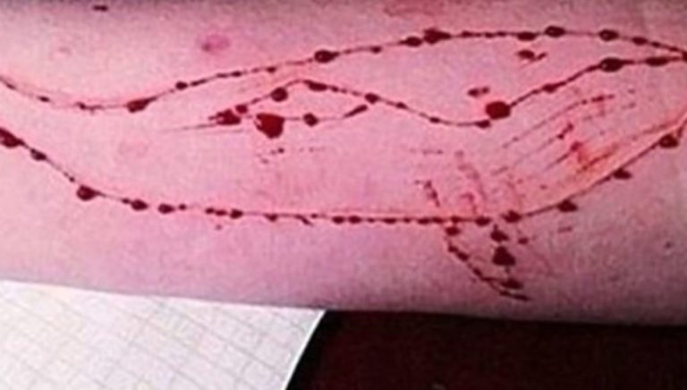 Στη φυλακή ο διαχειριστής του παιχνιδιού «μπλε φάλαινα»