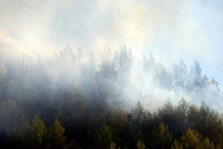 Οριοθετημένη η φωτιά στη Λευκίμη