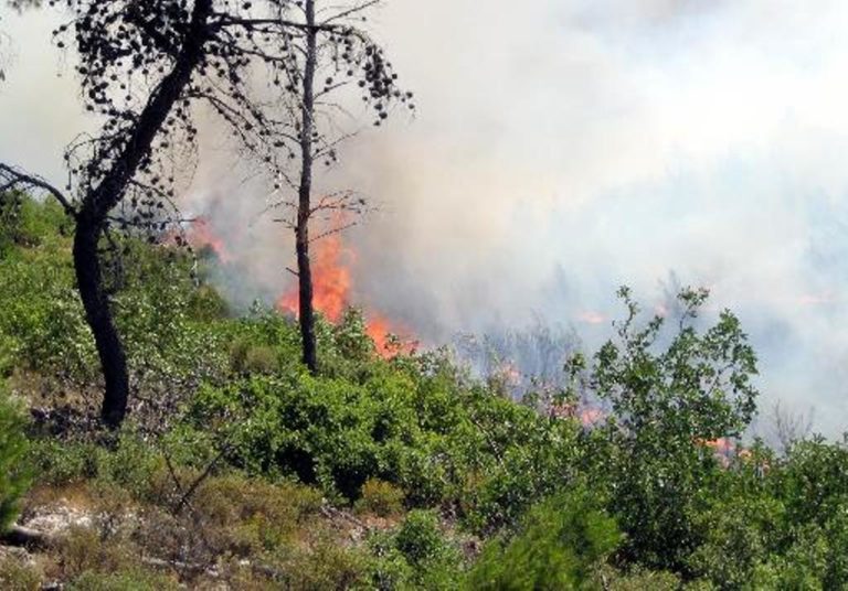 Κέρκυρα: Σβήστηκε η φωτιά στους Αγίους Δέκα