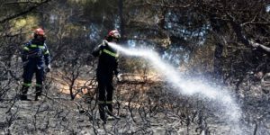 Δασικές πυρκαγιές: Πρόληψη, αντιμετώπιση και ευθύνες