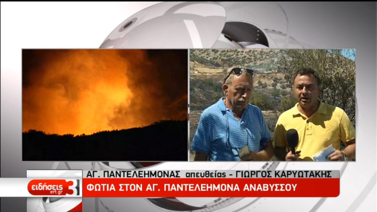 Μάχη με τις φλόγες σε Σπέτσες και Ανάβυσσο (video)