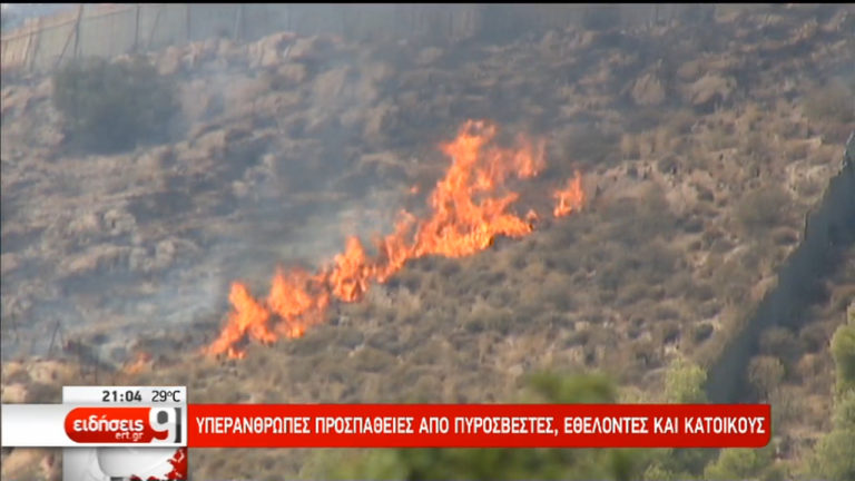 Φωτιά στο Δίλοφο Φαρσάλων-Υπό μερικό έλεγχο η πυρκαγιά στην Πρέβεζα (video)