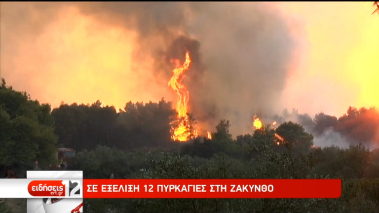 Σε κατάσταση έκτακτης ανάγκης η Ζάκυνθος- Μέτωπα και στην Κεφαλονιά (video+upd)