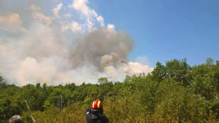 Πρέσπα: Σε ύφεση η φωτιά στο Βροντερό