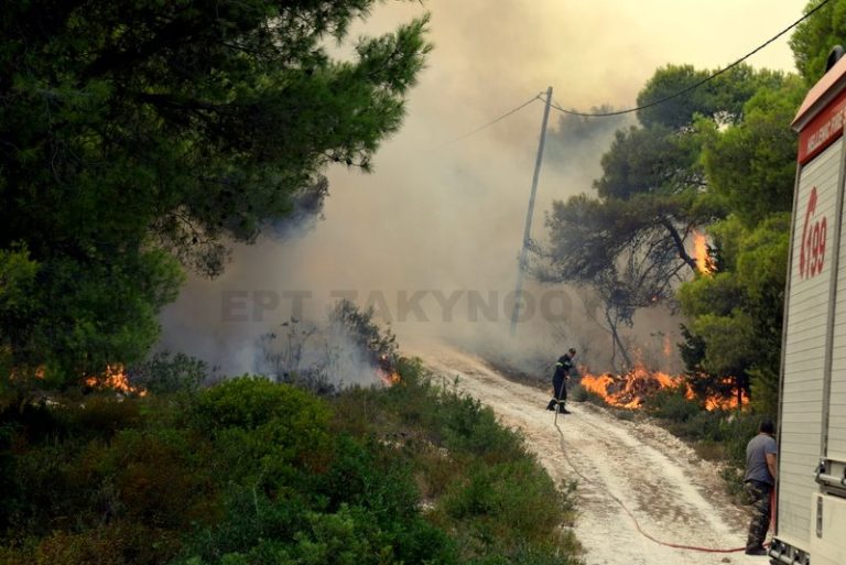 Καταγγελία Δήμου Ζακύνθου για απάτη σε βάρος πληγέντων από τις πυρκαγιές