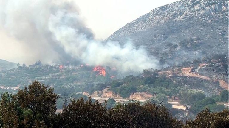 Υπό μερικό έλεγχο η φωτιά στο Στόμιο Ιεράπετρας