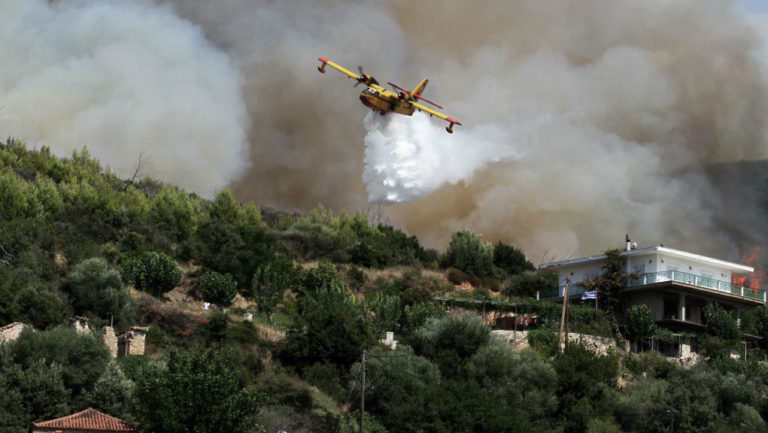 Σε ύφεση οι πυρκαγιές σε Ζάκυνθο και Ηλεία – Έσβησε στο Μαρκόπουλο (video)