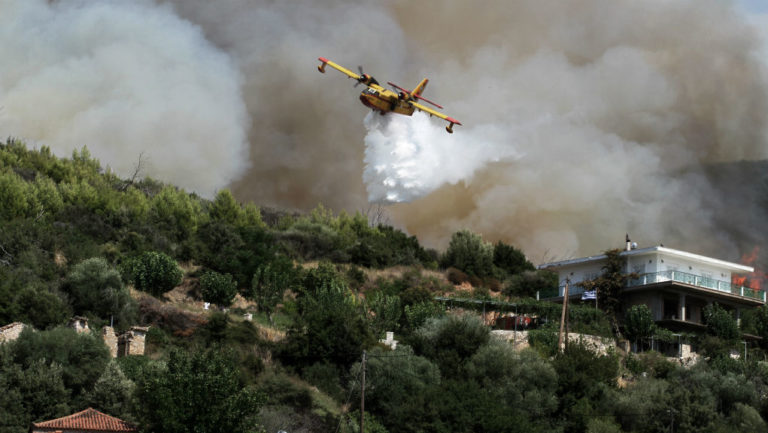 Σε ύφεση οι πυρκαγιές σε Ζάκυνθο και Ηλεία – Έσβησε στο Μαρκόπουλο (video)