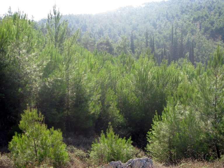 Προβληματίζουν οι ελλείψεις στον αγροτικό τομέα