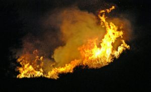 Ζάκυνθος:  Πυρκαγιών συνέχεια – Σε ύφεση τα πύρινα μέτωπα σε «Νερατζούλες» – Σκοπό