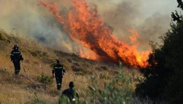 Σε εξέλιξη η φωτιά στα Λιμενάρια Θάσου