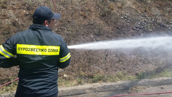 Κάηκαν 3 στρέμματα πεύκων στο βουνό Ίταμος Σιθωνίας