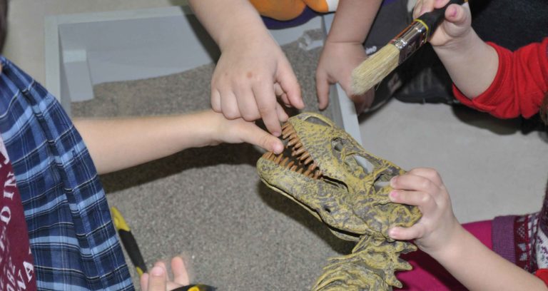 Εκπαιδευτικό Πρόγραμμα: “Γνώρισε τον Τυραννόσαυρο REX” στο Μουσείο Φυσικής Ιστορίας Βόλου