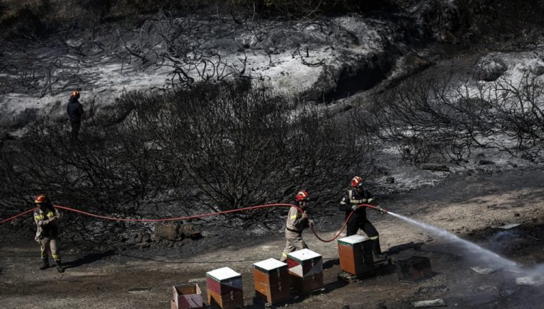 Νέα φωτιά στην Ανάβυσσο-Τρεις πυροσβέστες με εγκαύματα-Κάηκαν σπίτια και ΙΧ (video)