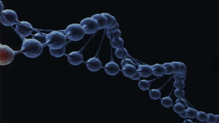 Η ανάλυση DNA μεσαιωνικής μούμιας ενός παιδιού έδειξε ηπατίτιδα Β