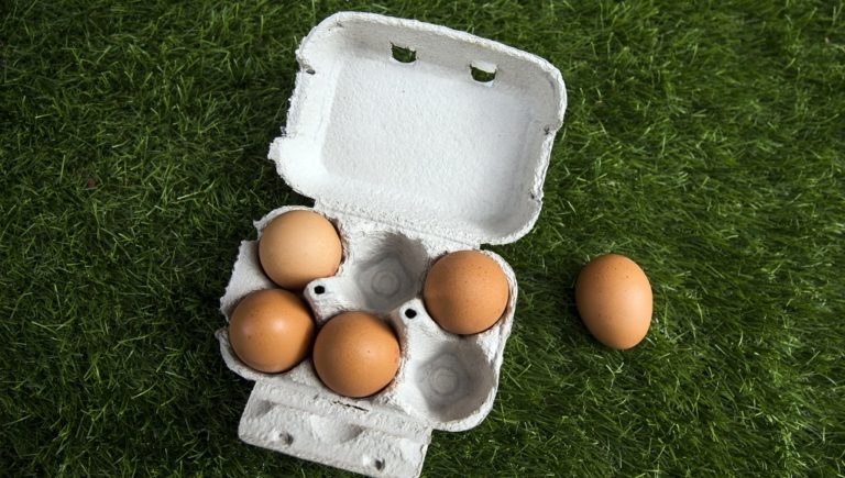 Παρτίδα μολυσμένων αυγών εντοπίστηκε και στην Ισπανία