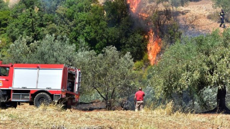 Σε εξέλιξη η φωτιά στην περιοχή Κούτσι Νεμέας