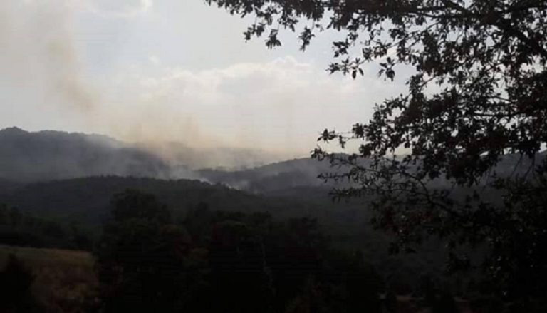 Πρέσπα: Μαίνεται η φωτιά σε δασική περιοχή του Βροντερού