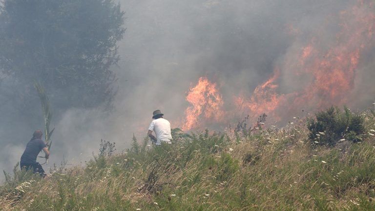 Νέα πυρκαγιά στο Περιστέρι Ηλείας (video)