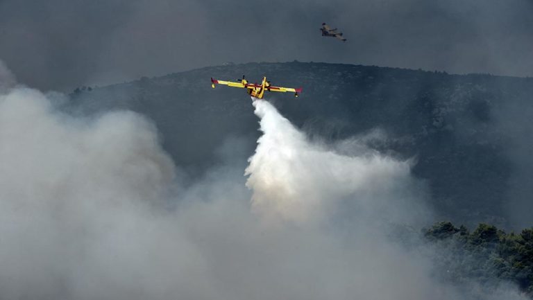 Πυρκαγιά σε δασική έκταση στο Μετόχι Ερμιονίδας