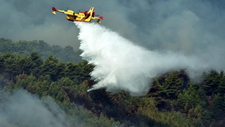 Υψηλός κίνδυνος πυρκαγιάς και σήμερα- 43 φωτιές το τελευταίο 24ωρο