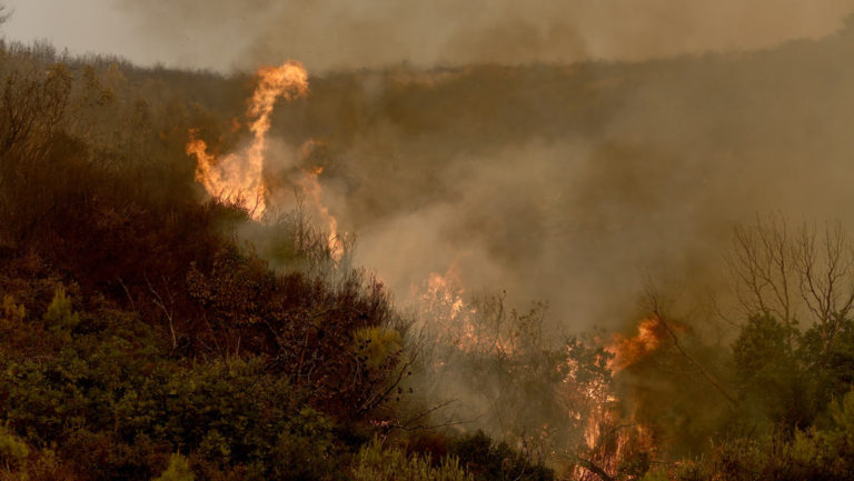 Σύσκεψη για την αποτίμηση των ζημιών της φωτιάς