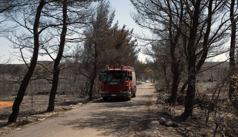 Κύθηρα: Έσβησε η πυρκαγιά-Πάνω από 15.000 στρ. στάχτη-Οι πολιτικές αντιδράσεις (video)