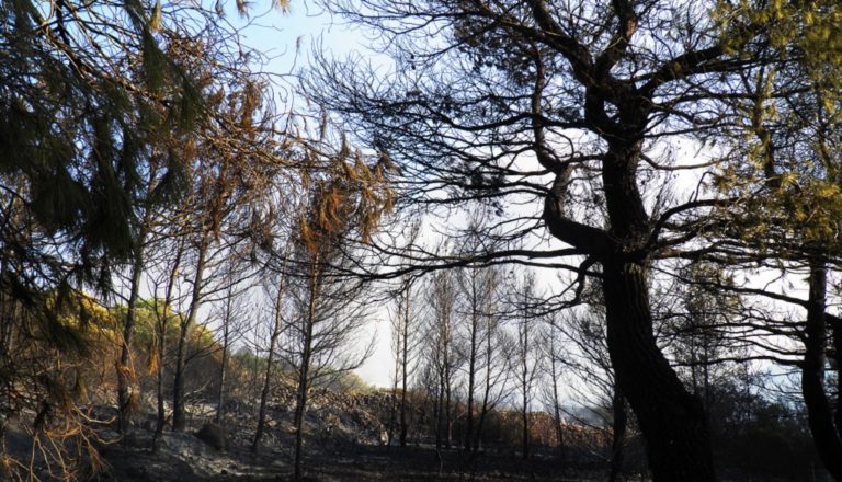 Ανυπολόγιστες οι ζημιές στα Κύθηρα – Ξεκίνησε η καταγραφή (video)