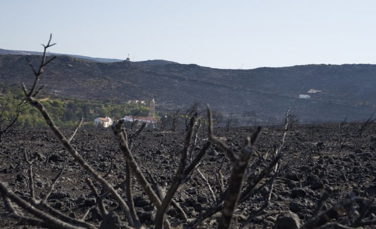 Αντιπαράθεση του Ν. Τόσκα με τη ΝΔ για την φωτιά στα Κύθηρα