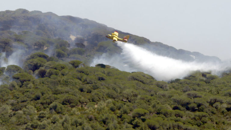 Γαλλία: Σύλληψη άνδρα ο οποίος ομολόγησε ότι έβαλε 16 πυρκαγιές