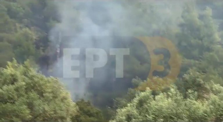 Υπό έλεγχο η φωτιά κοντά στο Ποσείδι
