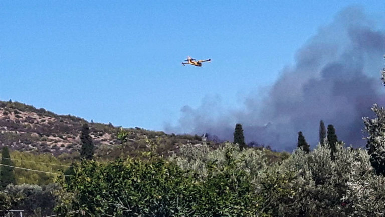 Σε ύφεση τα πύρινα μέτωπα-Και σήμερα υψηλός κίνδυνος πυρκαγιάς (video)