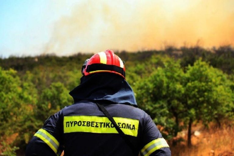 Υψηλός ο κίνδυνος πυρκαγιάς στην Κρήτη