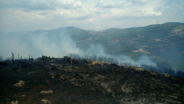 Καβάλα: Η υπό πλήρη έλεγχο η πυρκαγιά στην Παλιά Καβάλα